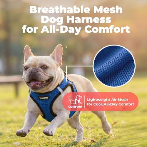 Voyager Step in Air Dog Vest Harness (Royal Blue/Black Trim / S (Chest: 14.5 - 16"))