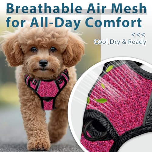 No Pull Dog Harness for Small Sized Dogs (X-Small(Chest:15.5-19.5”) / Pink/Black)