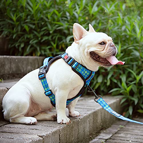 Plaid Dog Harness Large (L / Checkered Blue & Green)
