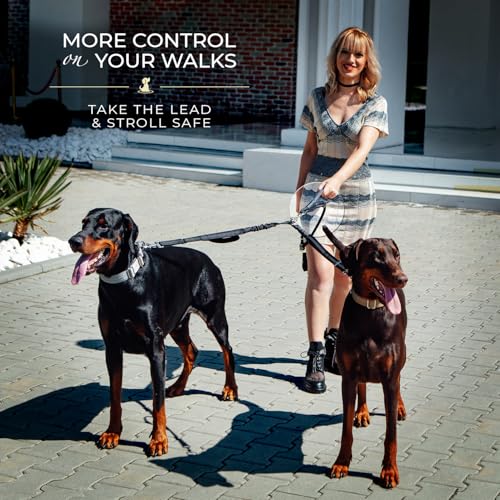 Premium Double Leash for Two Dogs (Adjustable Premium Gold)