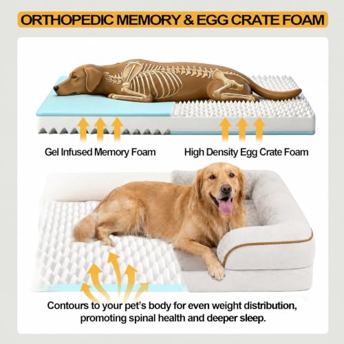 Orthopedic Extra Large Dog Bed (Beige / 44.0" L x 31.5" W x 7.5" Th)