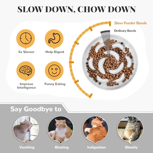 Melamine Cat Slow Feeder Bowl (White / 2"H)
