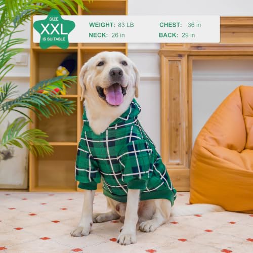 Plaid Dog Hoodie (Large / Green)