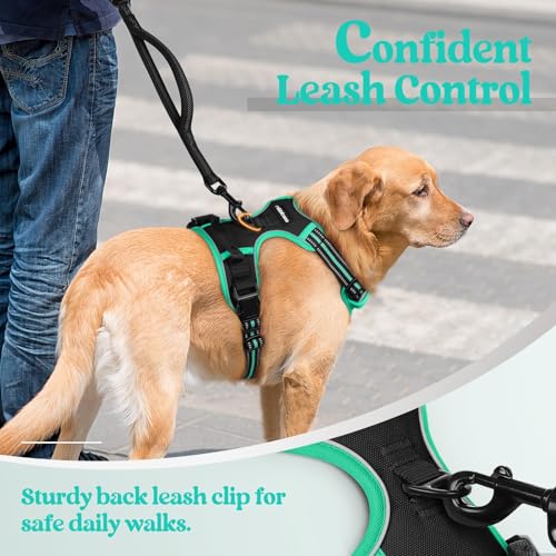 Dog Harness No Pull for Large Dogs with 2 Leash Clips (X-Large / Black & Turquoise)