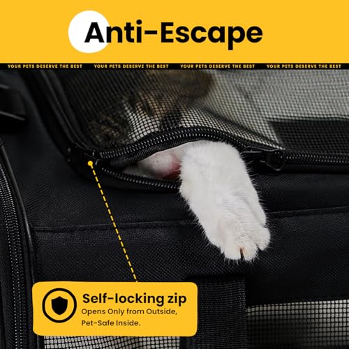 Cat Carrier Bag (17.0"L x 11.0"W x 11.0"H / Black)