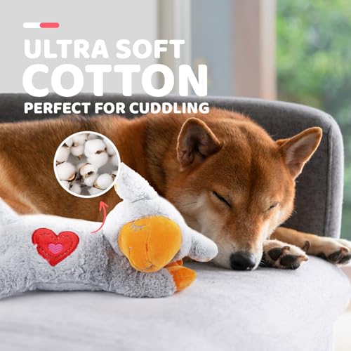 Heart Beat Dog Toy