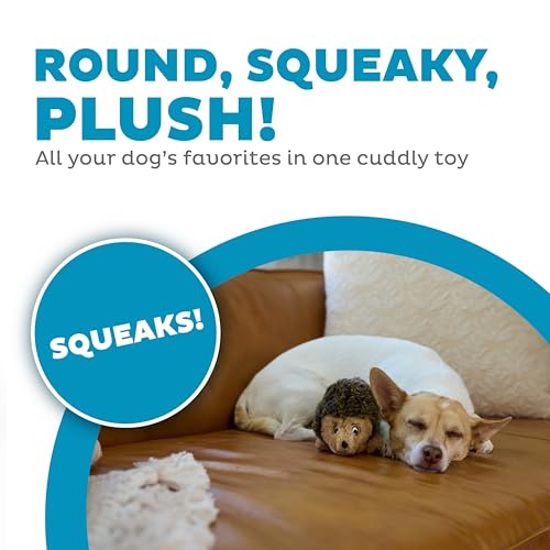 Hedgehogz Plush Dog Toy (Dog Plush Hedgehogz / Small (Pack of 1))