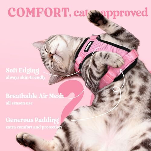 Cat Harness and Leash Set (S / Pink)