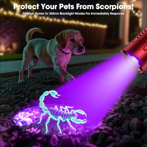 UV Flashlight (Red)