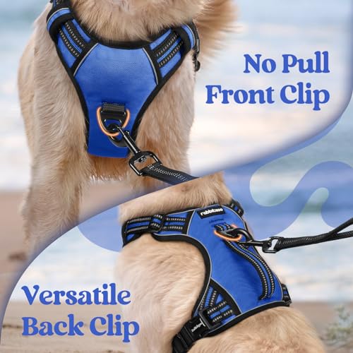 Large Dog Harness (Small / Blue)