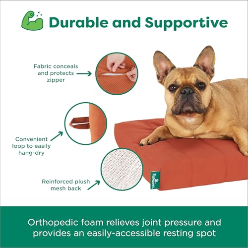 Orthopedic Dog Bed (Large / Rust)