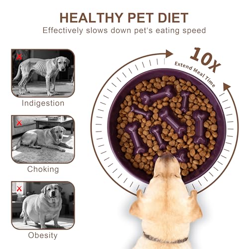Ceramic Slow Feeder Dog Bowls (Purple Bone)