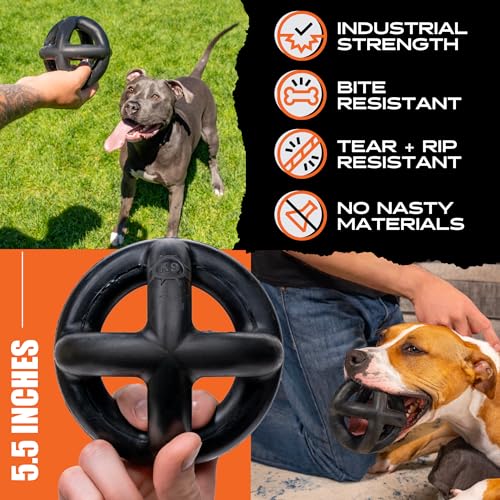 Monster K9 Ring Ball