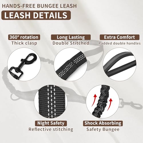 Hands Free Dog Leash for 2 Dogs Up to 250 lb (Black / Two Dogs)