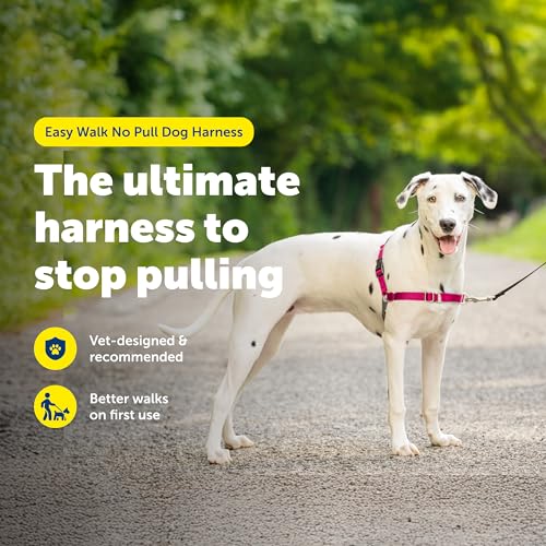 Easy Walk Harness (Medium/Large / Raspberry/Gray)