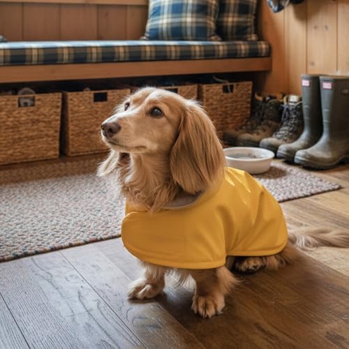 Dachshund Raincoat (Small)