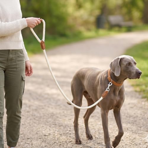 Dog Leash Braided Cotton Rope w (Snow White / 48 Inch-1/2")