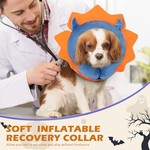 Inflatable Recovery Dog Collar (Blue Demon / Medium + (Neck:11''-13''))