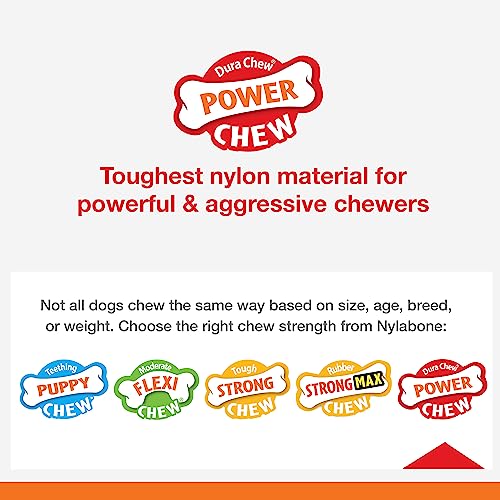 Power Chew Donut Dog Chew Toy (Donut 1 Pack / Medium)