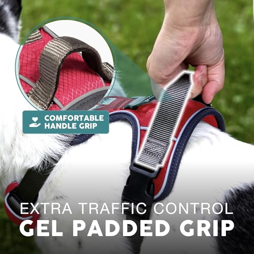 Embark No Pull Dog Harness (M / Red)