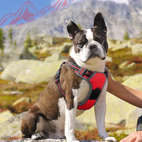 Dog Harness for Medium Sized Dogs (Medium / Red)