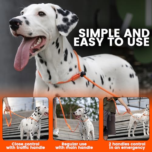 Slip Lead Dog Leash with 2 Spring (MintGreen / 5.0FT)