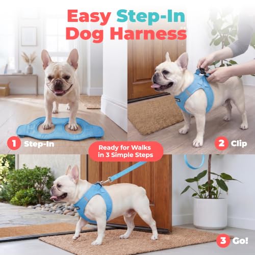 Voyager Step in Air Dog Vest Harness (Sky Blue / XXXS (Chest: 11 - 12"))