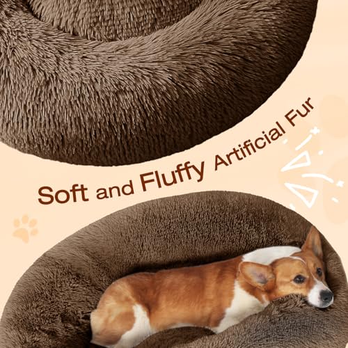 Dog Beds Large Sized Dog (45" / Coffee)