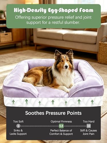 Orthopedic Dog Bed with Sides (38.0"L x 28.0"W x 6.5"Th / Purple)