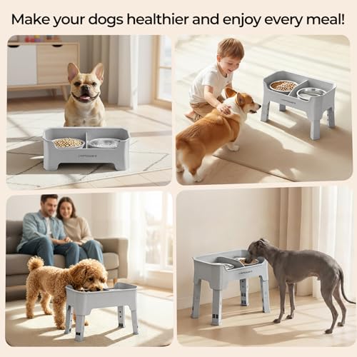 Mess Proof Elevated Dog Bowls for Small Dogs with Splash Guard (Light Grey / Small)