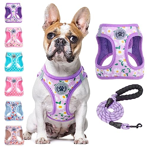 Dog Harness Medium Sized and Leash Set (Medium(Chest Girth 16" - 18") / Purple Daisy)