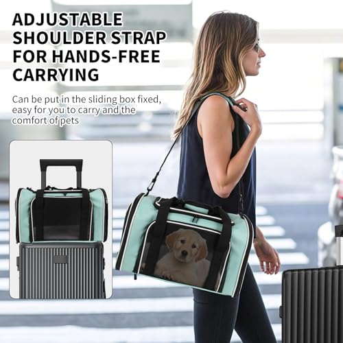 Cat Dog Carriers Soft (17.0"L x 11.0"W x 11.0"H / green)
