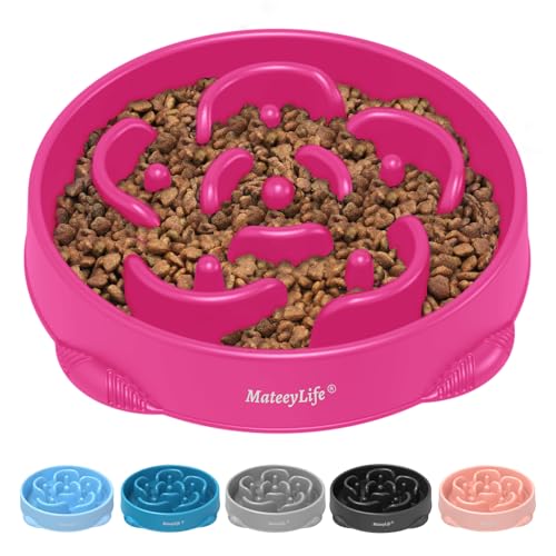1 Pack Slow Feeder Dog Bowls (J-Purple / Large)