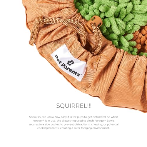 Forager Snuffle MAT and Slow Feeder Dog Bowl