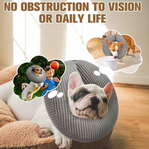 Inflatable Dog Cone Collar (Grey / New M(Neck: 13"-15" | Diameter: 12.5"))