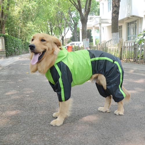 Border Collie Dog Hooded Raincoat (L-M+ (for Border Collie ~60lbs) / Green)