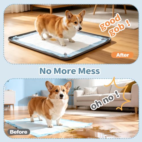 Silicone Puppy Pad Holder Tray with Clips (A-24"x24")