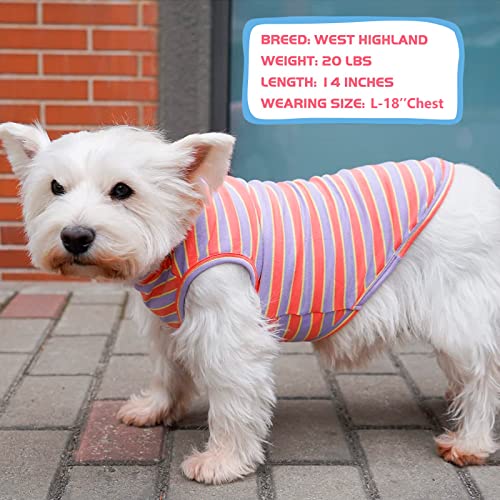 2Pack Cotton Dog Shirt for Small Medium Dogs Soft Striped Tank Top (X-Large (18-30lbs) / 07# 2Pack (Orange Striped+Purple))