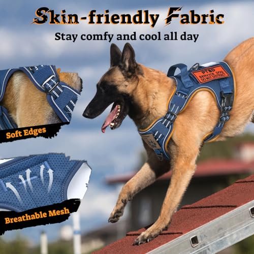 Tactical Dog Harness Medium Sized (M(chest:20.1"-33.9",neck:17.7"-22.3",back:7.5") / Blue)