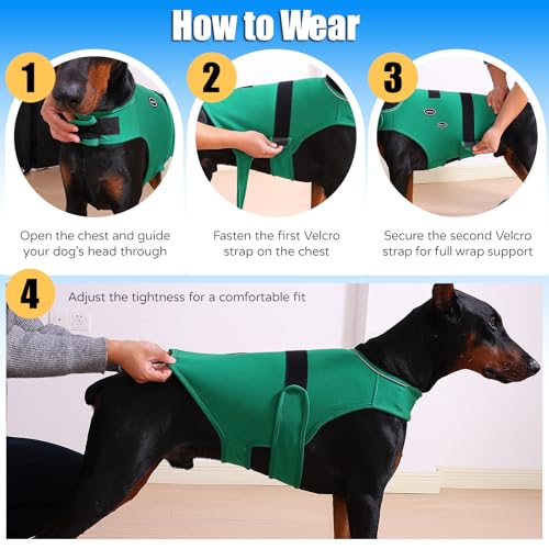 Dog Anxiety Vest (2XL-Chest(26"-36") / Green)