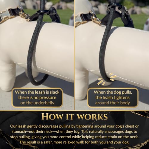 No Pull Hand Free Dog Leash with Wrap (Black / Medium (25-60 lbs))