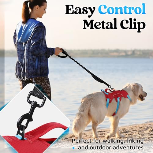 Escape Proof Dog Harness for Medium (Sky Blue & Red / Medium)