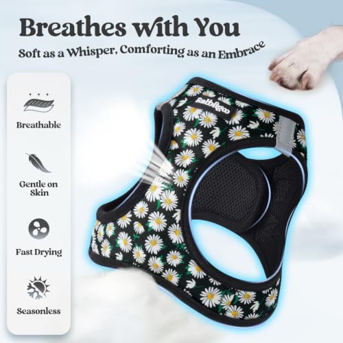 Dog Harness Medium Sized and Leash Set (Midnight Daisy / L (chest: 18.2 - 20.5"))
