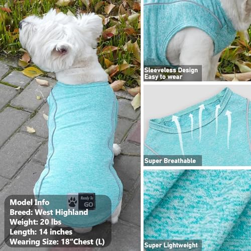 Reflective Dog Shirt (Large (13-19lbs) / 5#Lake Blue)