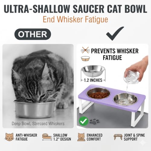 Upgraded Elevated Cat Bowls with Food Mat