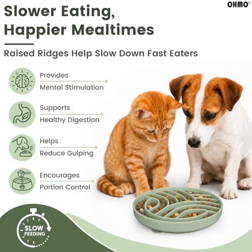 Slow Feeder Dog Bowl (Sage Green)