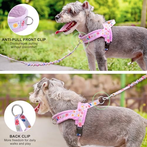 No Pull Small Dog Harness and Leash Set (Purple_Velvet / M: Chest 21"-26.7")