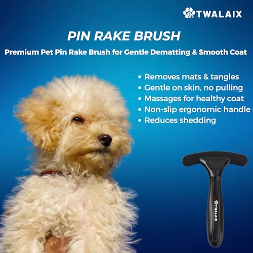6 in 1 Pet Grooming Kit for Dogs & Cats (6 Count (Pack of 1))