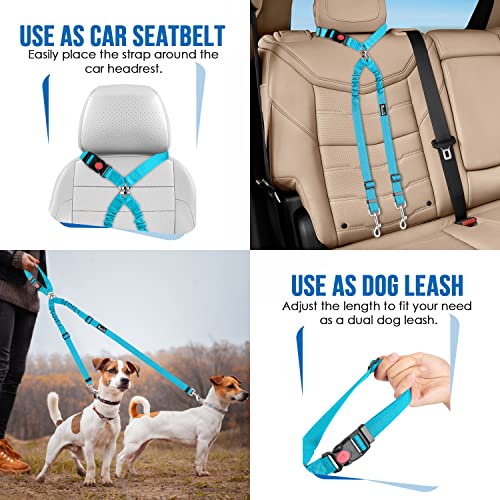 Double Dog Car Seat Belt (Light Blue)