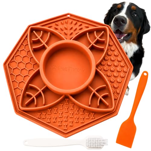 Dog Lick Mat & Slow Feeder Bowl